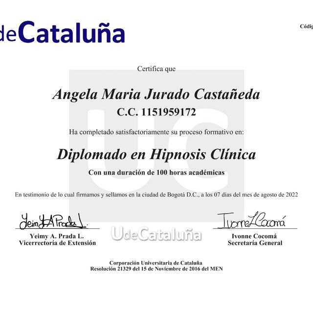 Acercar imagen: certificate 2