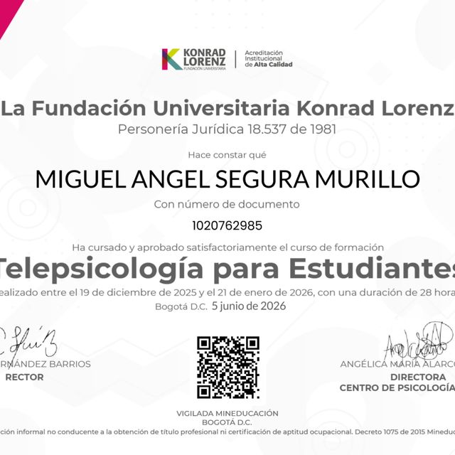 Acercar imagen: certificate 9