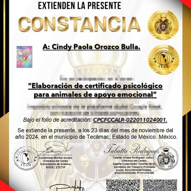 Acercar imagen: certificate 4