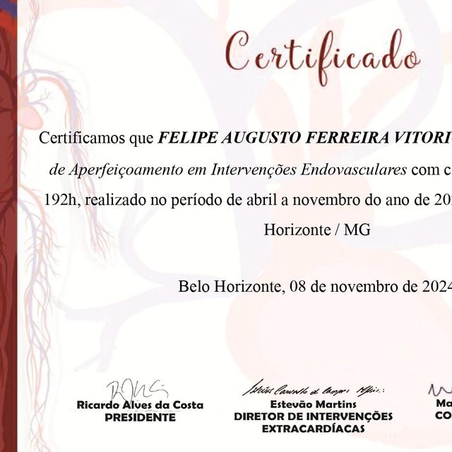 Ampliar imagem: certificate 8