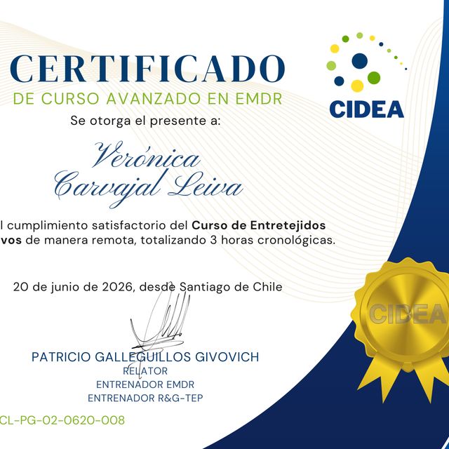 Acercar imagen: certificate 6