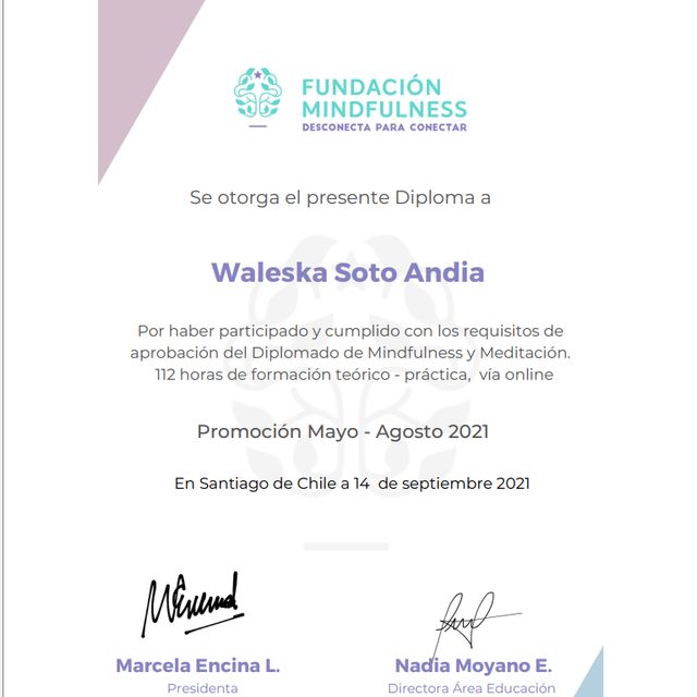 Acercar imagen: certificate 3