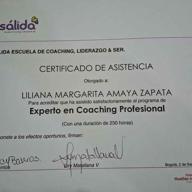 Acercar imagen: certificate 3