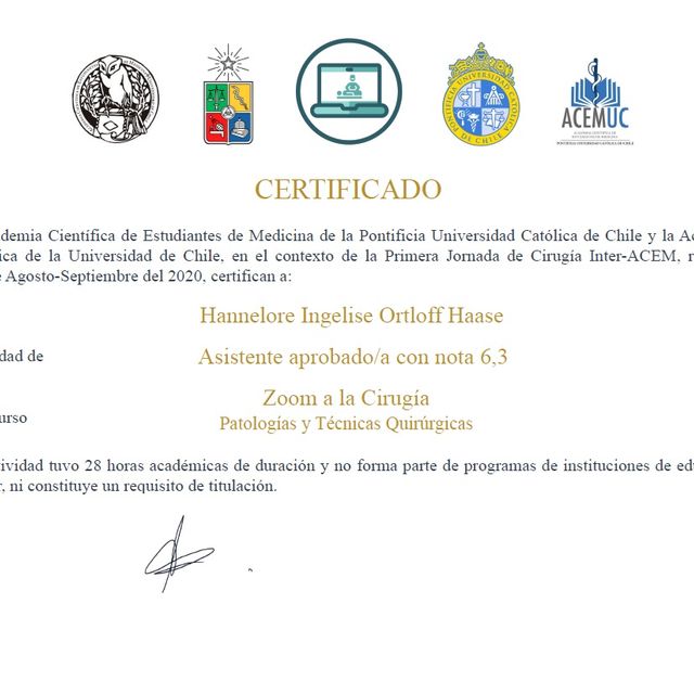 Acercar imagen: certificate 13
