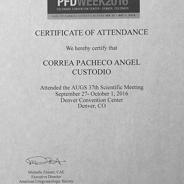 Acercar imagen: certificate 11