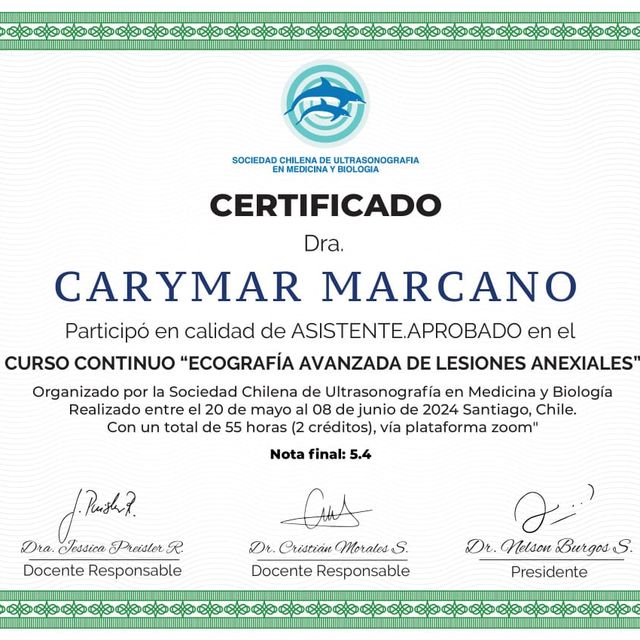 Acercar imagen: certificate 3