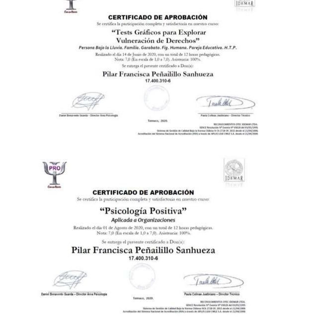 Acercar imagen: certificate 10