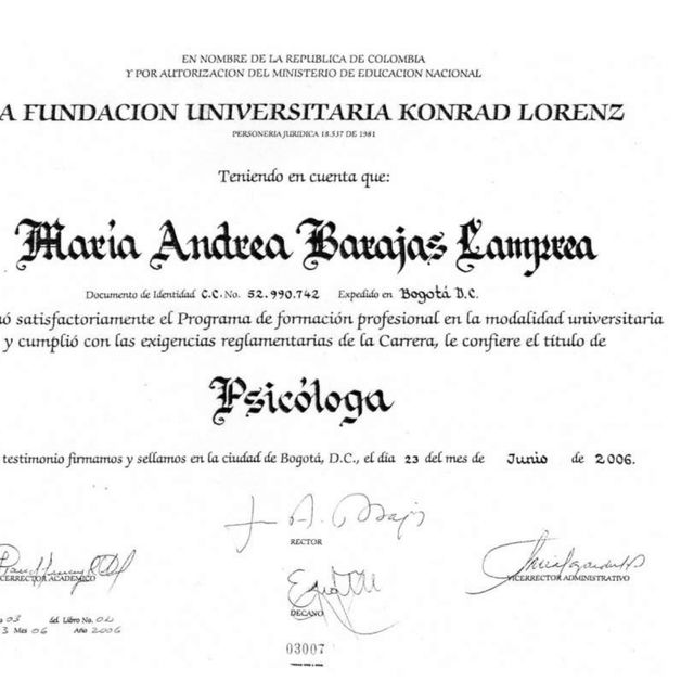 Acercar imagen: certificate 2