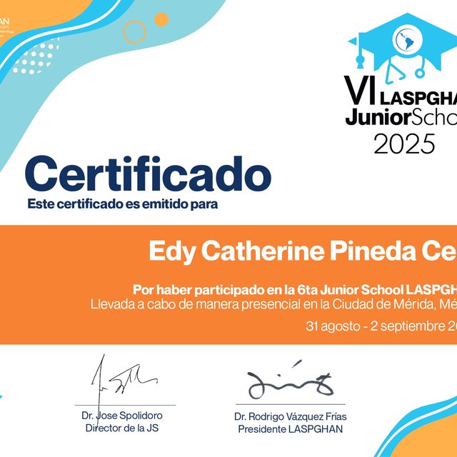 Acercar imagen: certificate 2