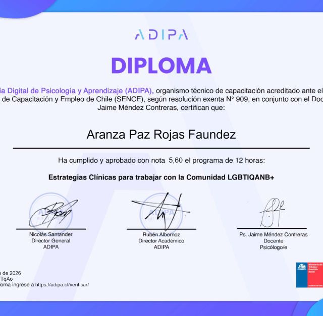 Acercar imagen: certificate 17