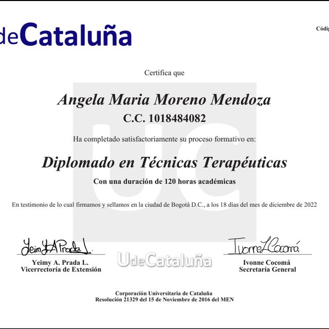 Acercar imagen: certificate 3