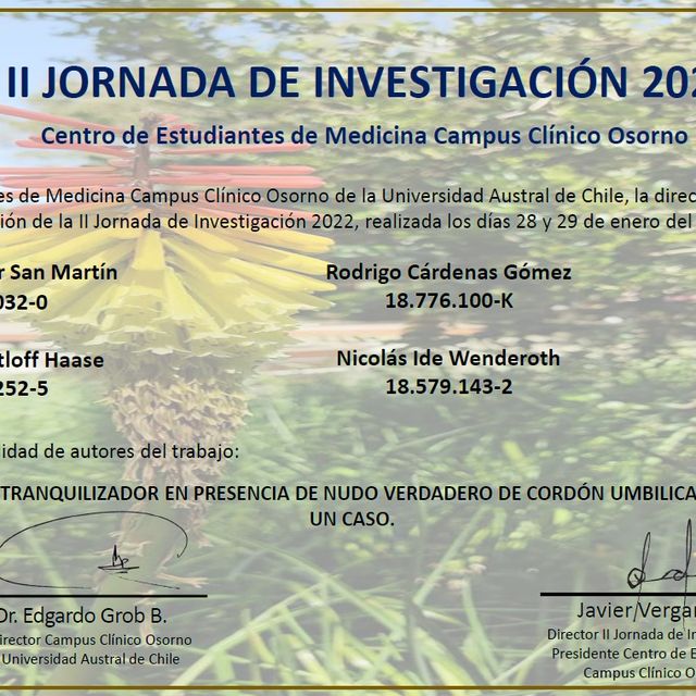 Acercar imagen: certificate 7