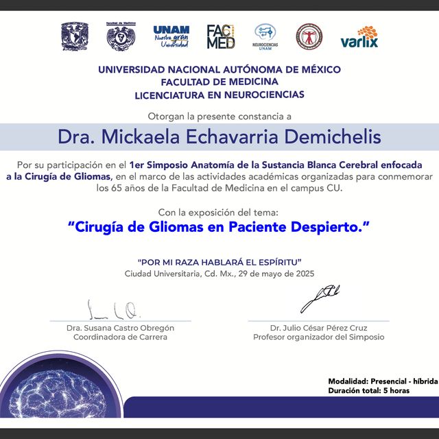 Acercar imagen: certificate 12