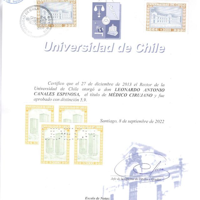 Acercar imagen: certificate 2