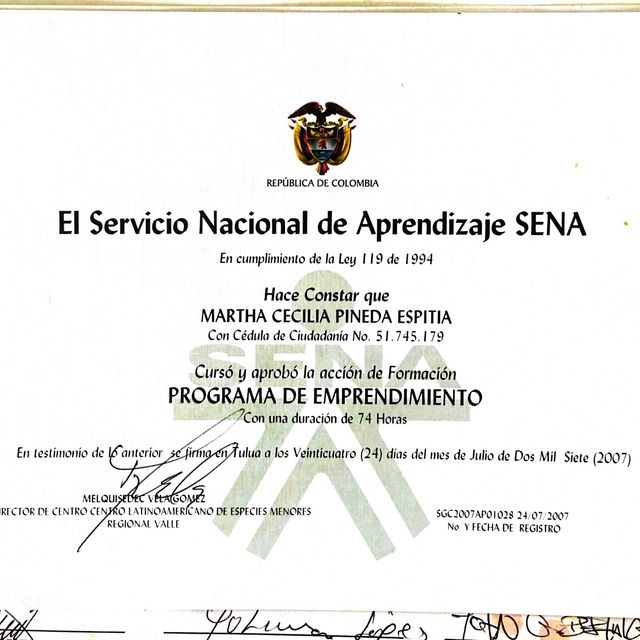 Acercar imagen: certificate 11