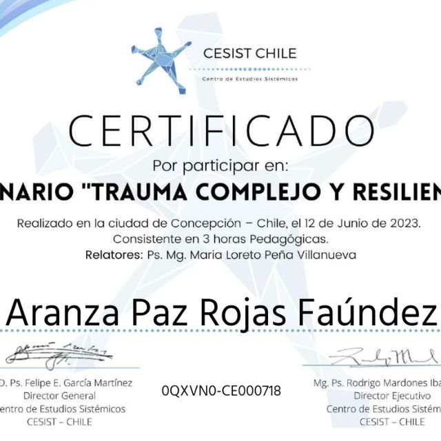 Acercar imagen: certificate 13
