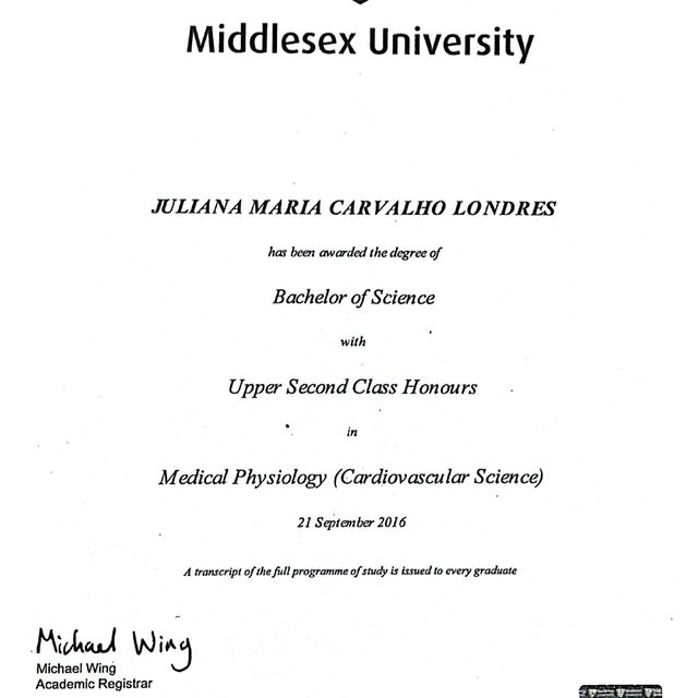 Ampliar imagem: certificate 8