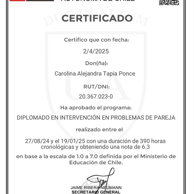 Acercar imagen: certificate 3