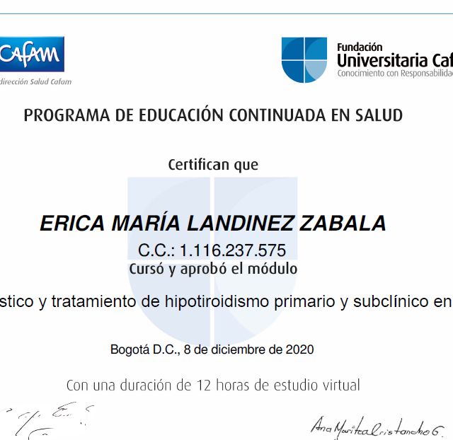 Acercar imagen: certificate 6