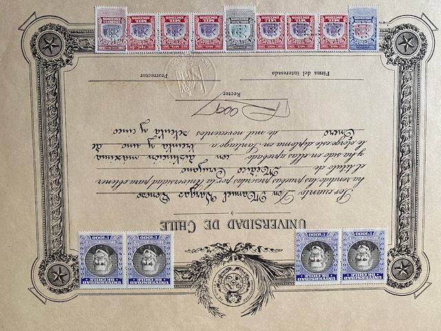 Acercar imagen: certificate 5