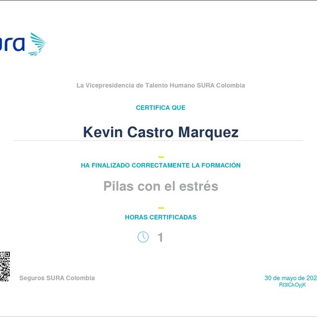 Acercar imagen: certificate 11