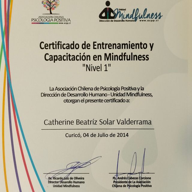 Acercar imagen: certificate 5