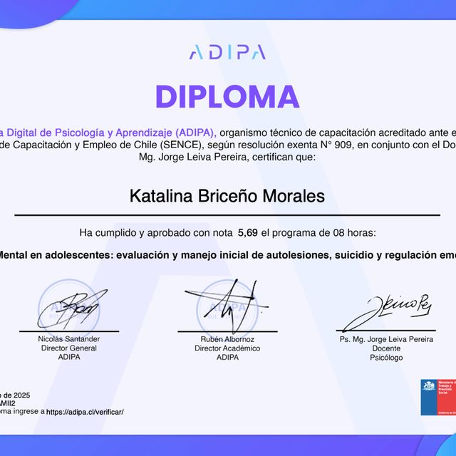 Acercar imagen: certificate 7