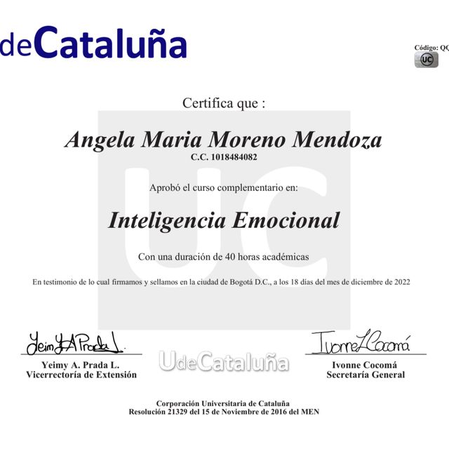Acercar imagen: certificate 4