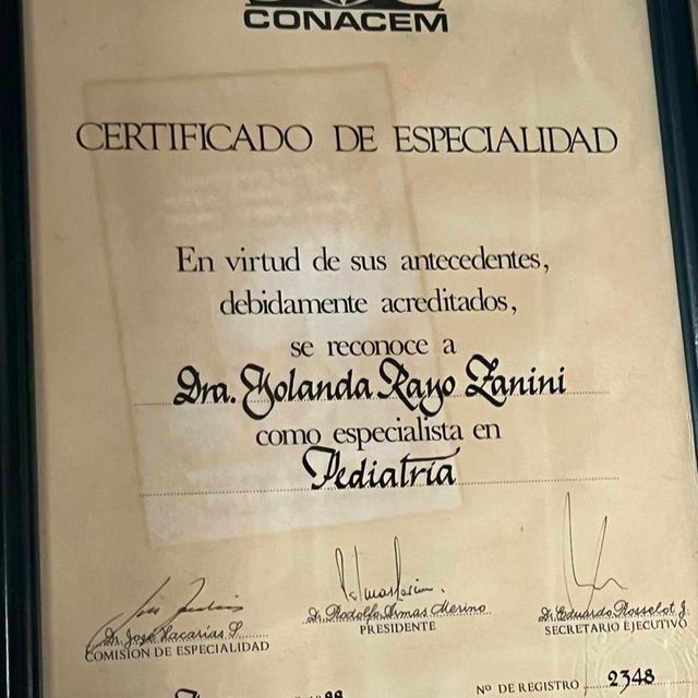 Acercar imagen: certificate 3