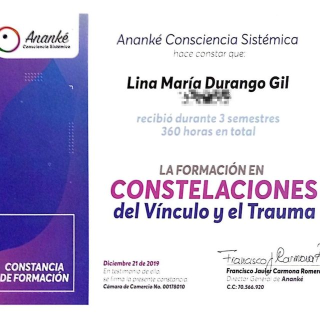 Acercar imagen: certificate 2
