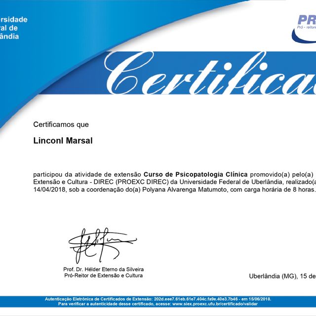 Ampliar imagem: certificate 7