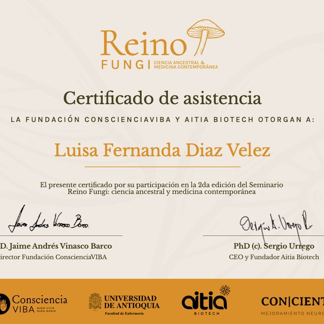 Acercar imagen: certificate 4