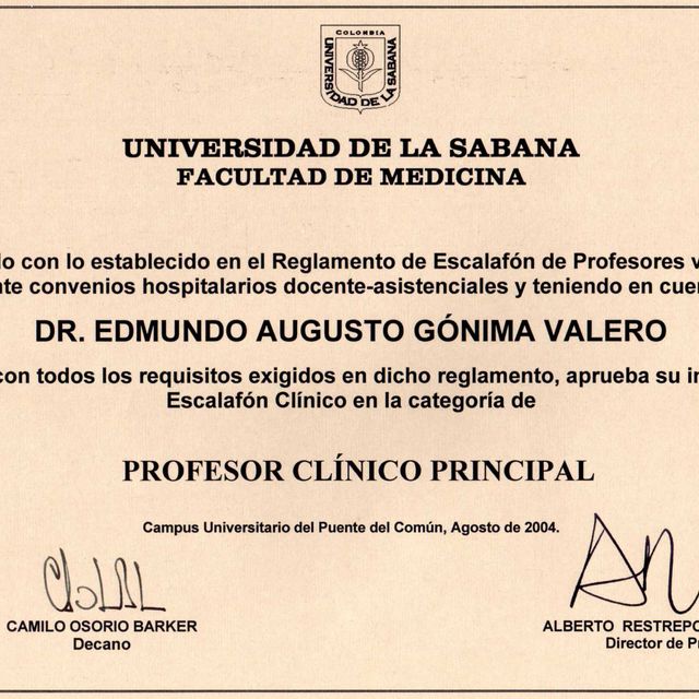 Acercar imagen: certificate 9