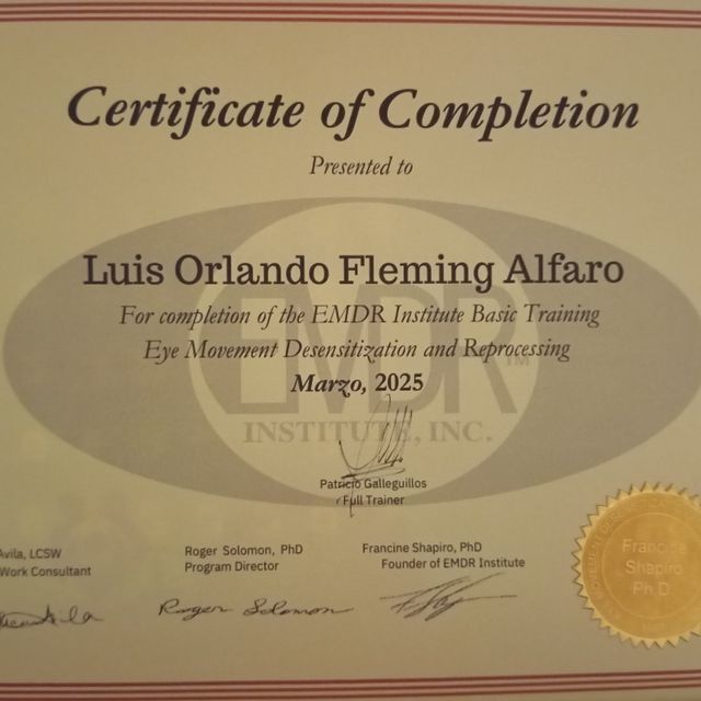 Acercar imagen: certificate 2