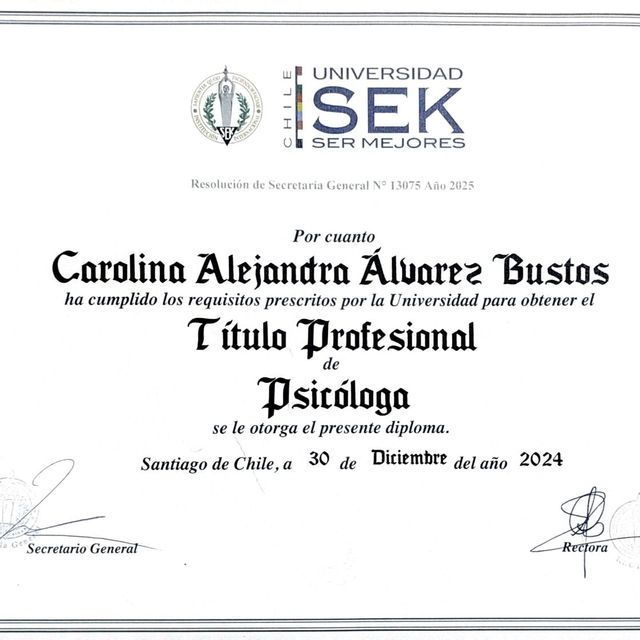 Acercar imagen: certificate 1