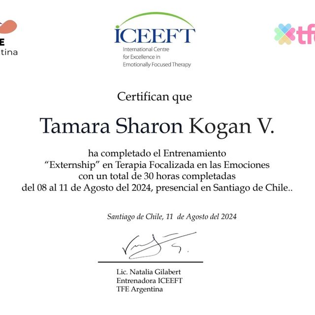 Acercar imagen: certificate 3