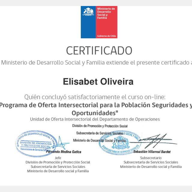 Acercar imagen: certificate 6
