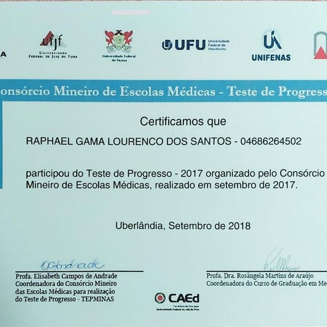 Ampliar imagem: certificate 13