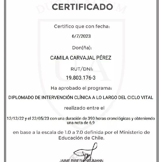 Acercar imagen: certificate 12