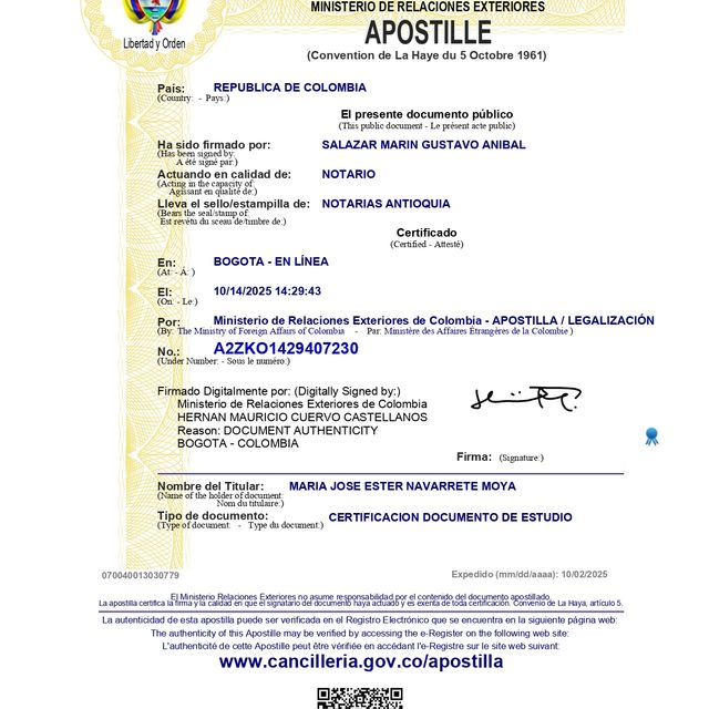 Acercar imagen: certificate 8