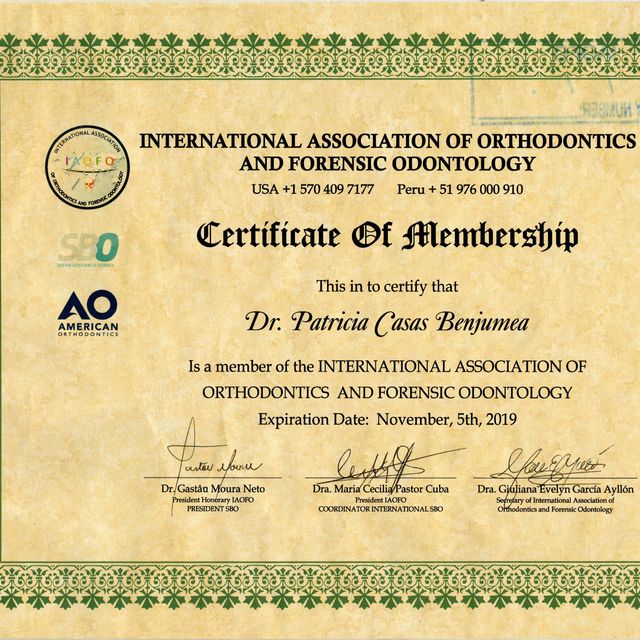 Acercar imagen: certificate 10