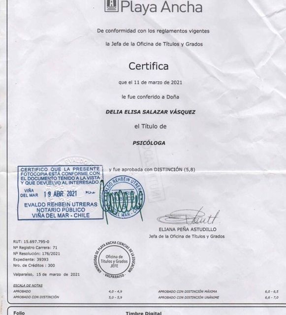 Acercar imagen: certificate 2