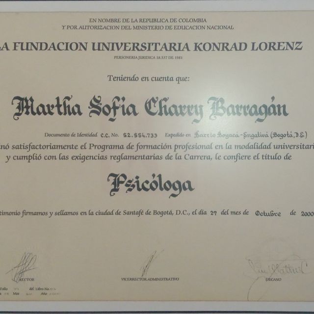 Acercar imagen: certificate 2