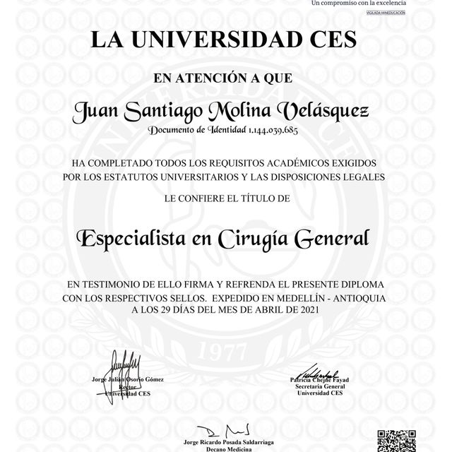 Acercar imagen: certificate 5