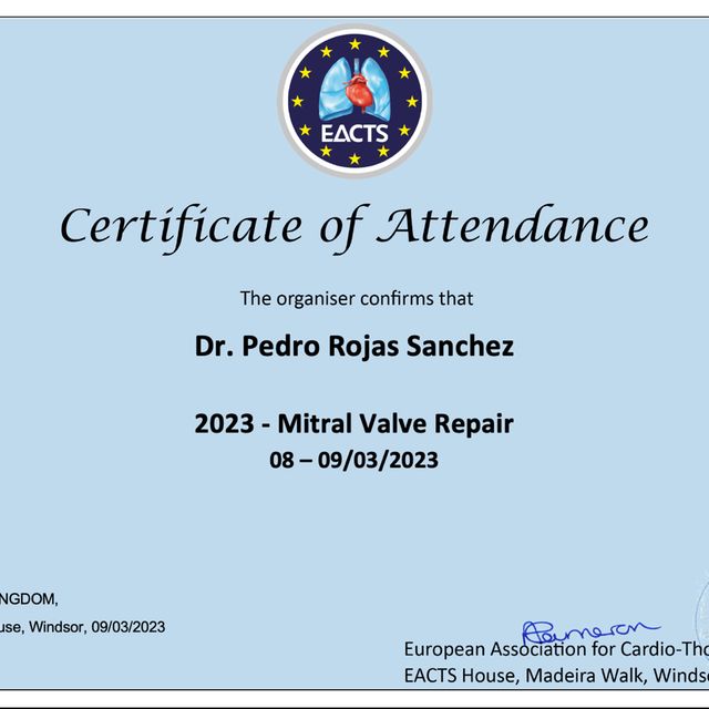 Acercar imagen: certificate 6