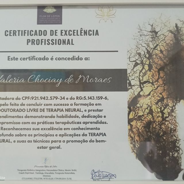 Ampliar imagem: certificate 11