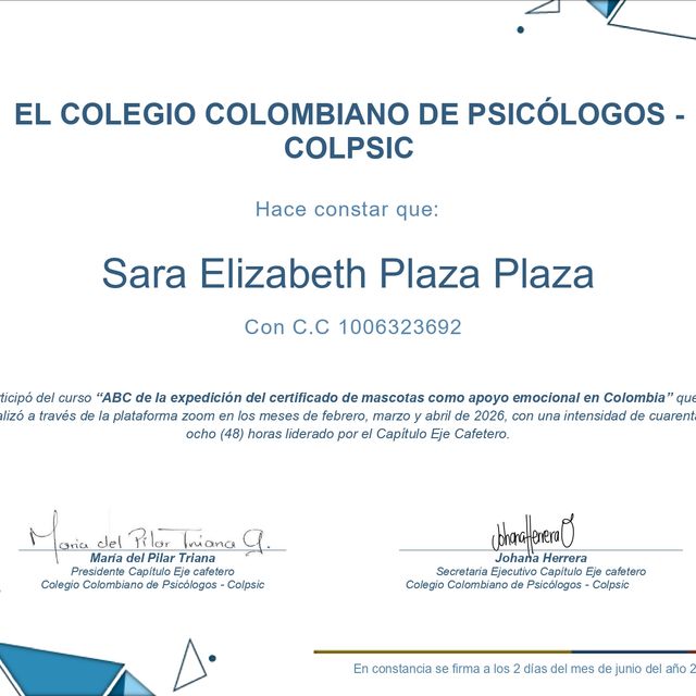 Acercar imagen: certificate 8