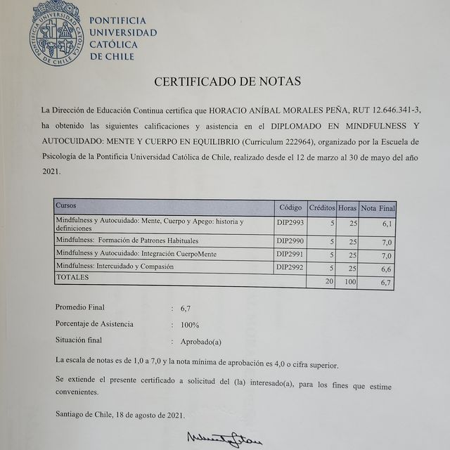 Acercar imagen: certificate 4