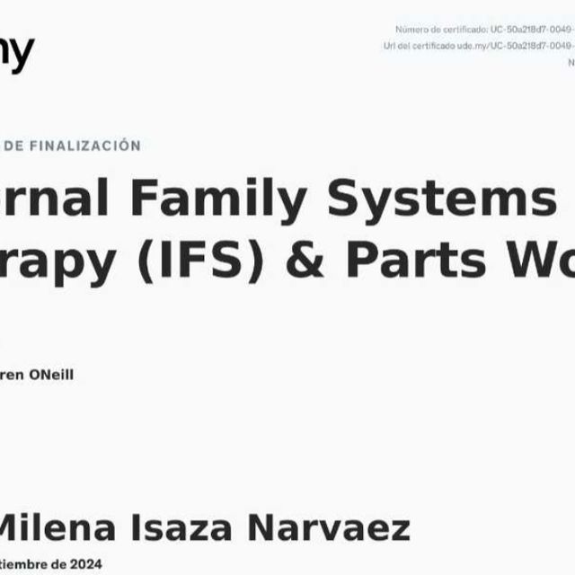 Acercar imagen: certificate 17