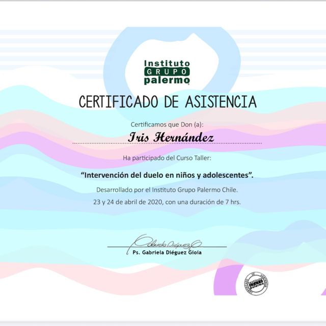 Acercar imagen: certificate 26